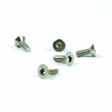 Tornillo m 4x12 Flat Torx HD T15 para Limpiafondos Hayward