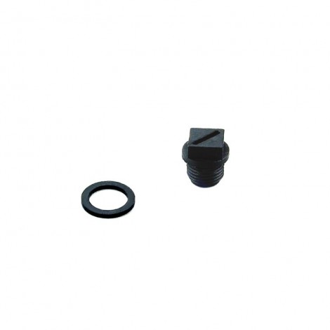 Tapón válvula selectora Classic AstralPool 4404120109