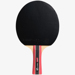 300 INDOOR mesa de ping pong