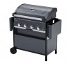 Barbacoa de gas Campingaz Select 4 L