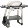 Barbacoa de gas Excel 300 Outback