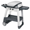 Barbacoa de gas Excel 300 Outback