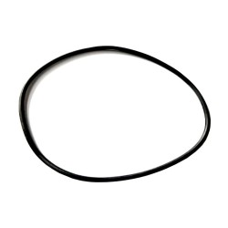 Junta prefiltro bomba ESPA Silen S2 0000204888