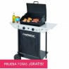 BARBACOA A GAS CAMPINGAZ Xpert  100 L