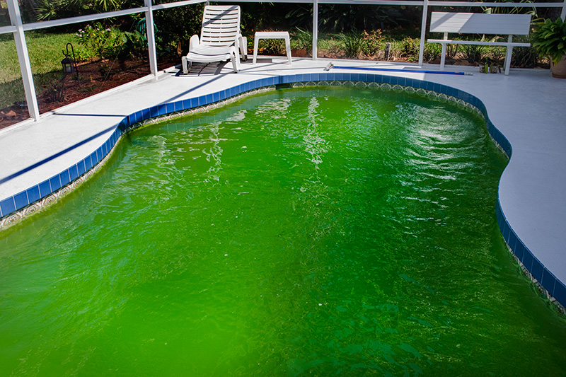 El agua de la piscina está verde: ¿cómo solucionarlo?