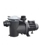 Recambios bomba Saci Winner